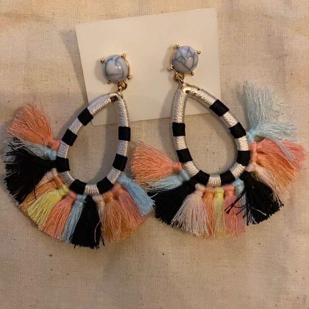Fun multi color fringe earrings